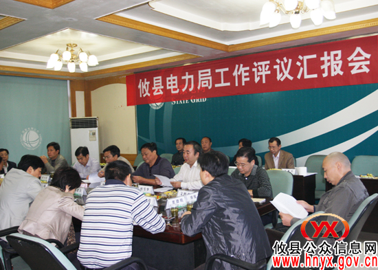 攸县人大常委会组织对县电力局开展工作评议