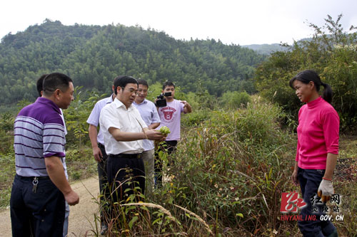 黄诗燕：大力发展特色产业 强力推进山地经济