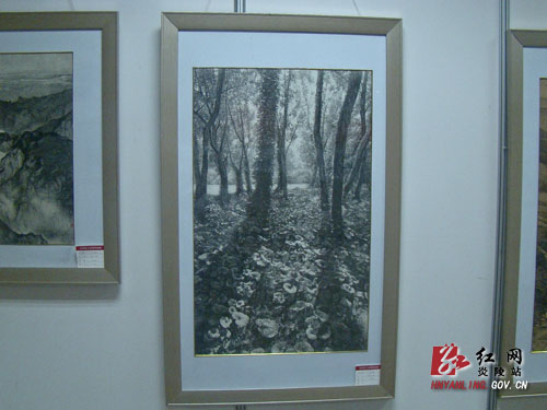 炎陵县美术教师刘红军钢笔画获全国第五届钢笔画大展银奖