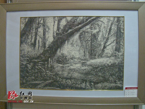 炎陵县美术教师刘红军钢笔画获全国第五届钢笔画大展银奖