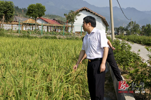 黄诗燕：积极打造美丽、宜居新霞阳