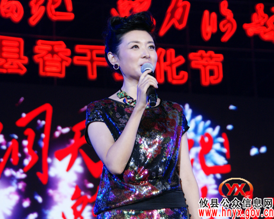 “洞天福地 魅力攸县”大型文艺晚会昨夜激情上演