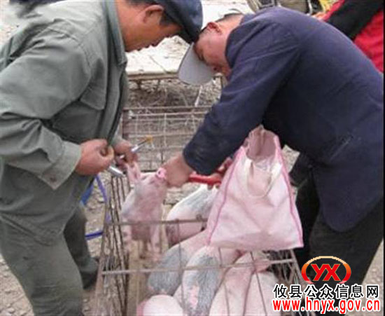 攸县秋冬季动物防疫工作进展顺利