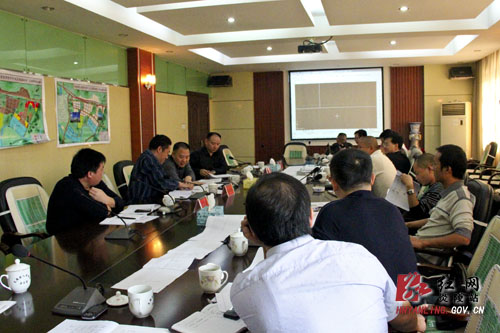 我县召开＂西城区西九龙大道、九龙商贸街工程＂设计方案评审会