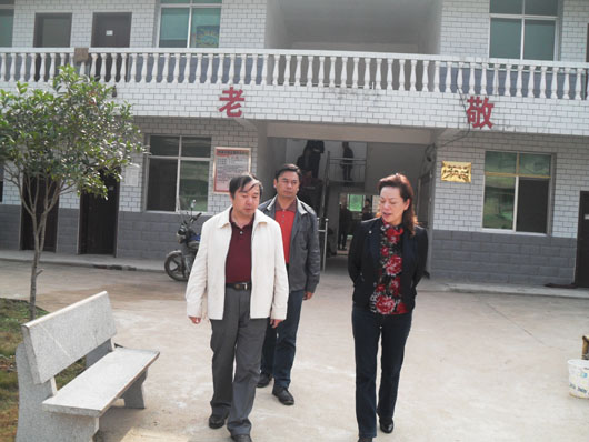 省民政厅副厅长唐白玉一行视察攸县敬老院改扩建工作