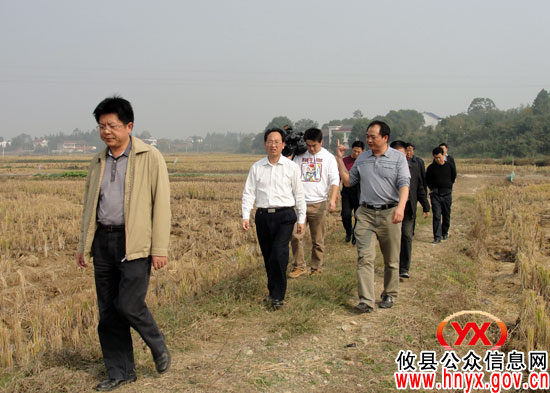 省农开办主任李丙力来攸县视察高标准农田示范工程项目