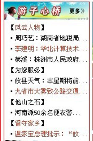 本网《游子心桥》被电子政务理事会评为“精品栏目”