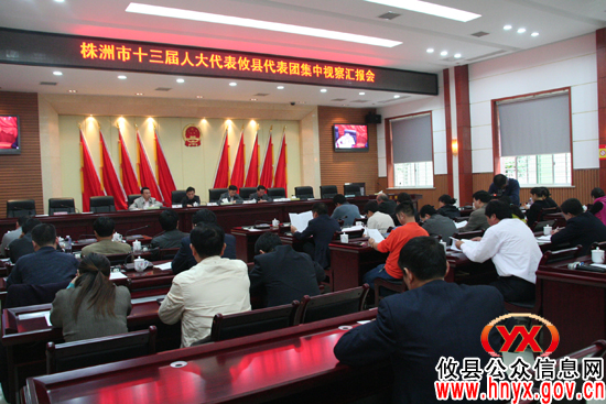 市十三届人大代表攸县代表团视察重点工程建设