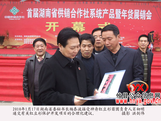 攸县红豆杉种子搭神舟八号飞船游太空已返回地面