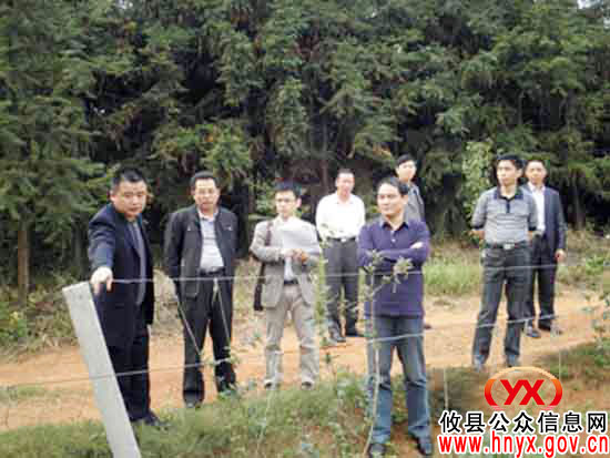 省政府调研组唐宇文一行来攸县调研农民专业合作社工作
