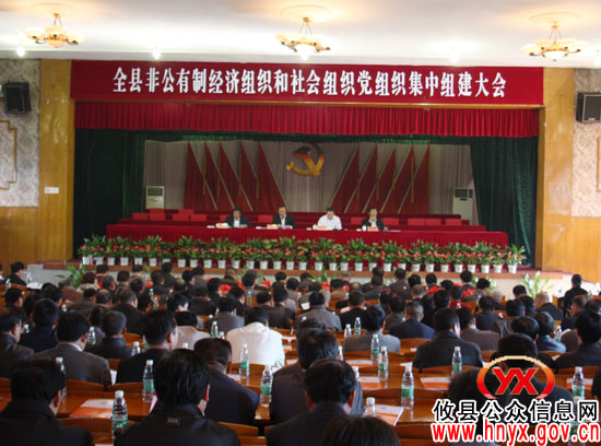 攸县149家非公经济组织今天集中组建党组织