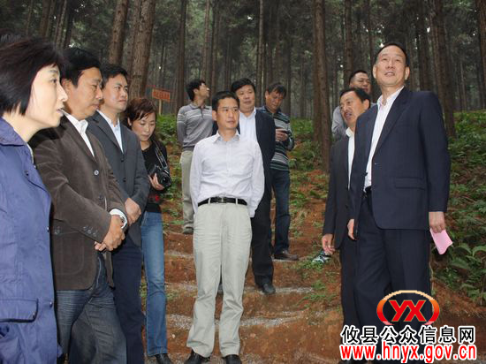 国家林业局造林司司长王祝雄一行来攸县视察森林抚育工作
