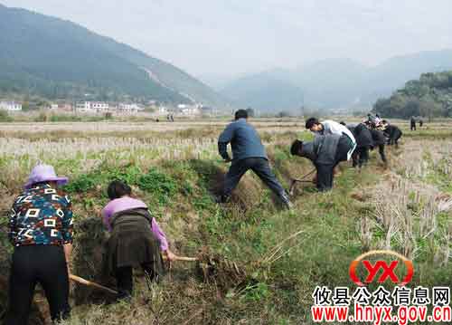 攸县柏市镇柏市社区（居委会）洪家组进行水渠清淤