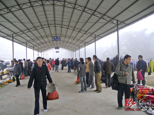垄溪乡：＂马路市场＂不再 新农贸市场昨启用