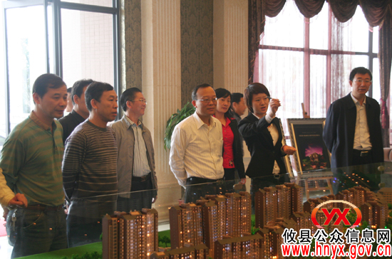 省台办副主任丁学新一行来攸县督导对台工作
