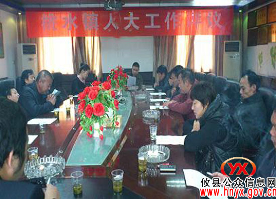 攸县桃水镇部分驻镇单位接受人大代表评议