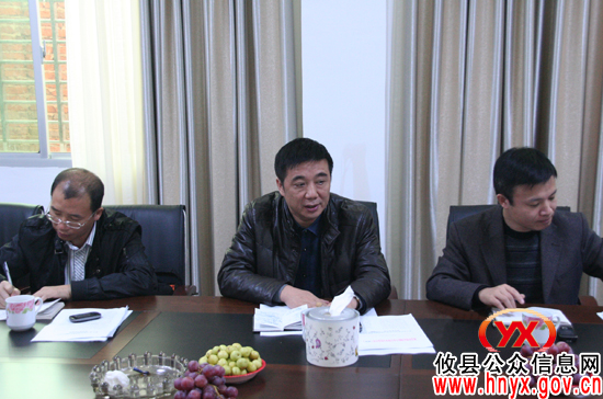 吴爱清一行到坪阳庙参加村级联合办公工作片区会议
