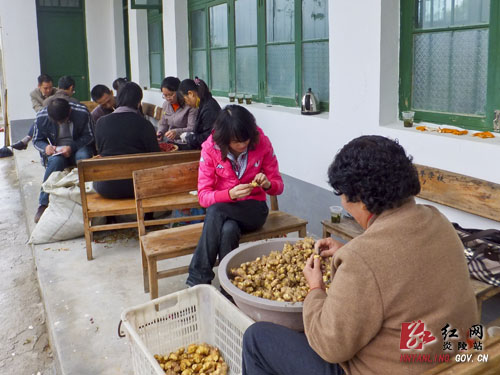 县卫生局＂四下四同＂活动架起企业与村民的致富桥