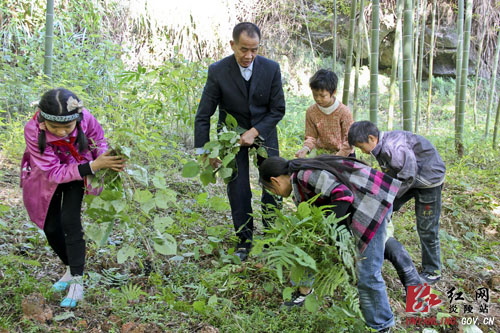 大山深处育芬芳 大爱无声铸师魂
