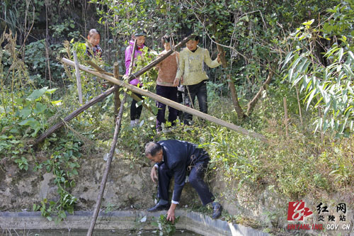 大山深处育芬芳 大爱无声铸师魂
