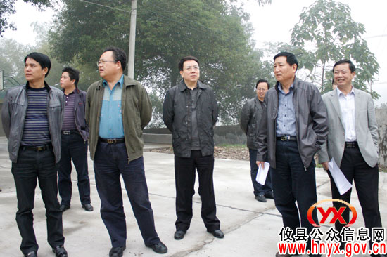 市政府副秘书长易湘东一行来攸县督查“三项”工作