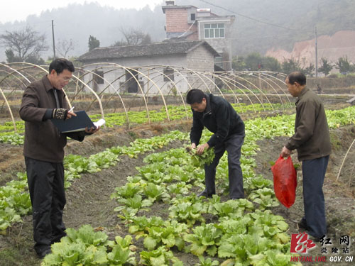 农业、工商联合执法确保＂两节两会＂农产品质量安全
