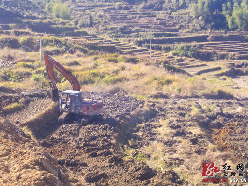 垄溪乡秋田村油茶林基地建设初显雏形