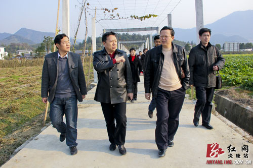 市委考核组来我县检查验收基层党建帮扶工作