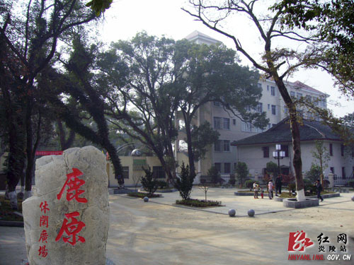 炎陵：集中连片整治＂扮靓＂新农村