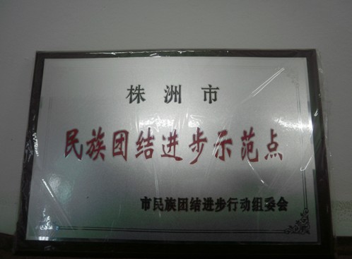芦淞区城管大队被确定为“株洲市民族团结进步示范点”