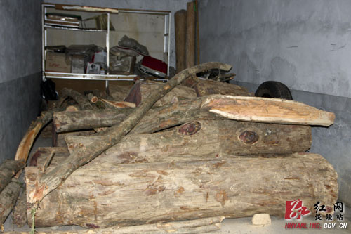 县森林公安局＂亮剑＂ 成功抓获两名网上逃犯