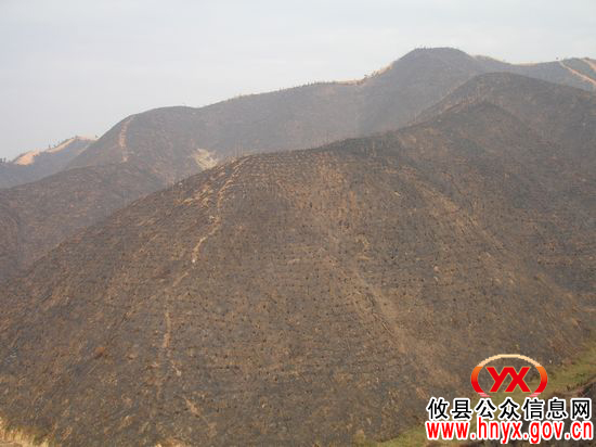 攸县渌田镇高标准完成造林炼山整地1500余亩