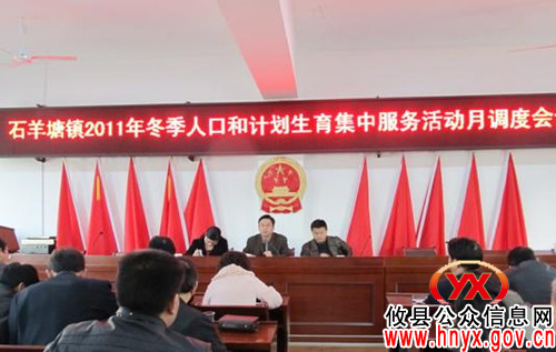 攸县石羊塘镇调度冬季计划生育集中服活动
