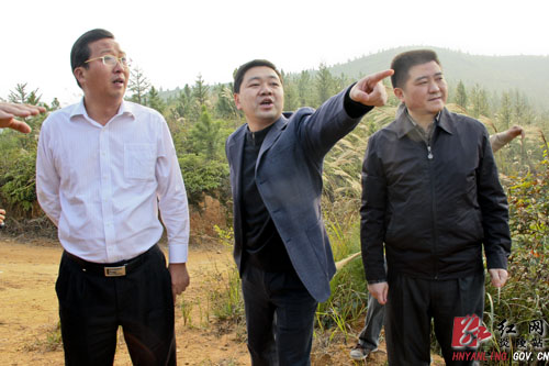 省委基层办考核调研组到我县考核调研