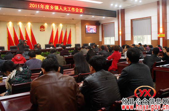 攸县人大常委会进行乡镇人大工作年度总结