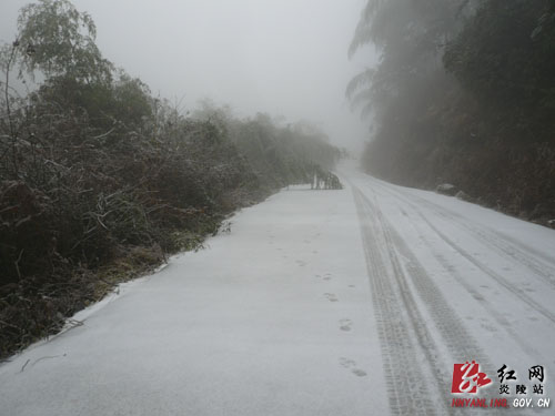 2012年的第一场雪比往年来得早一些[组图]
