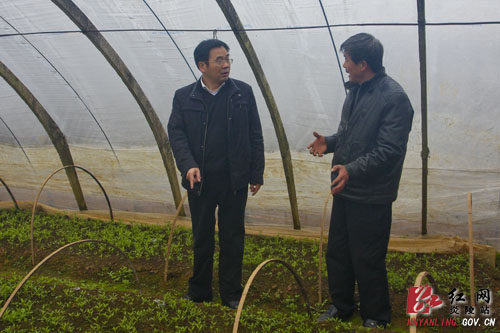 县委书记黄诗燕开展春节慰问活动