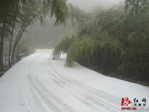 2012年的第一场雪比往年来得早一些[组图]