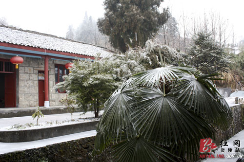 2012年的第一场雪比往年来得早一些[组图]