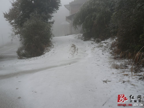 2012年的第一场雪比往年来得早一些[组图]