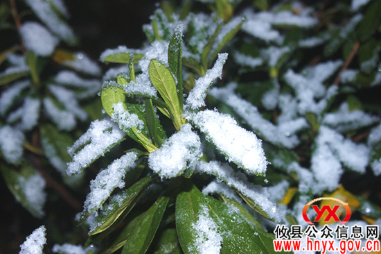 今晚八点许，攸县迎来新年第一场雪