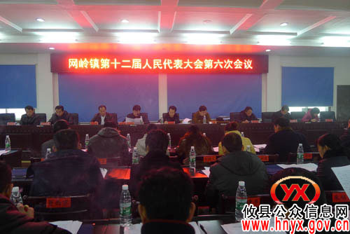 攸县网岭镇十二届人大六次会议召开　易志勇当选为镇人大主席