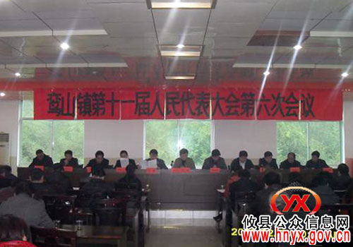 攸县鸾山镇召开十一届人大六次会议　补选一名副镇长