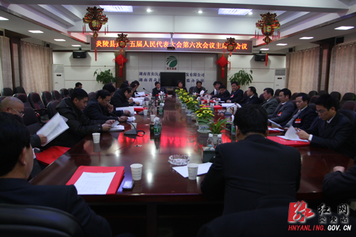 【“两会”快线】县十五届人大六次会议主席团第二次会议