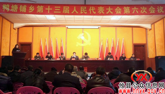攸县鸭塘铺乡十三届人大六次会议召开 补选两名副乡长