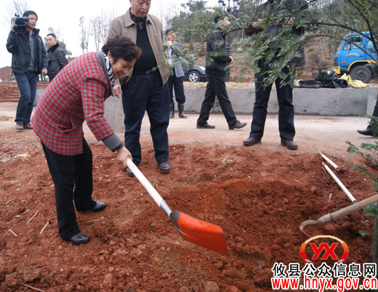 攸县县委书记邝邹飞带队开展义务植树活动
