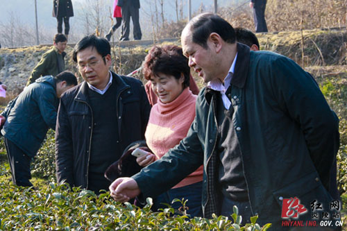 刘岁文来炎调研县域经济发展情况