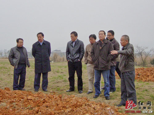 省林业厅巡视员李定一一行来炎检查指导林业工作