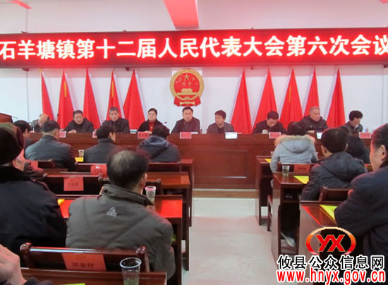 攸县石羊塘镇召开十二届人大六次会议　补选一名副镇长