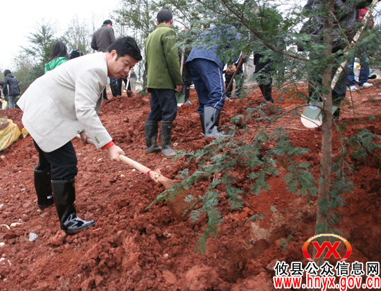 攸县县委书记邝邹飞带队开展义务植树活动